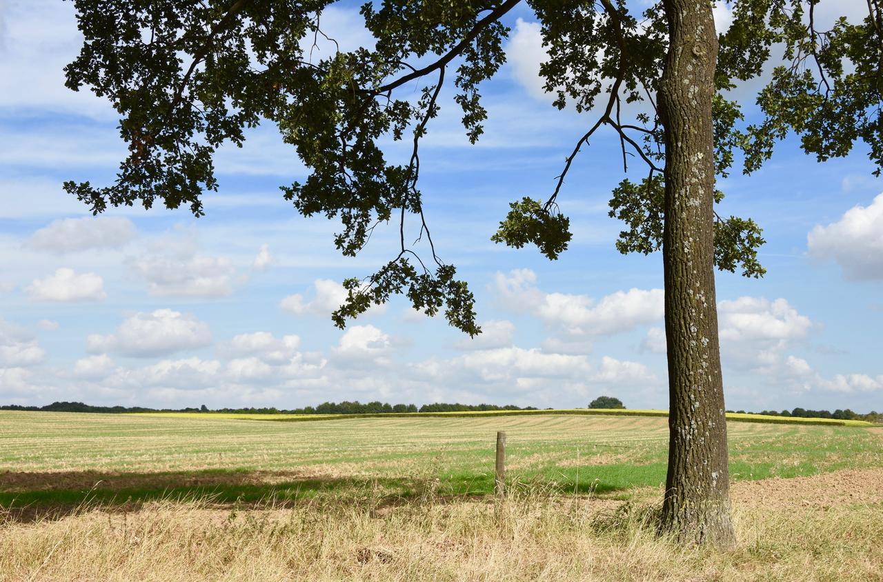 Moorveld De Hagendoorn B&B 외부 사진